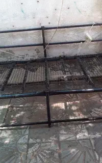 تخت اهنی