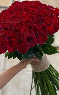 دسته گل رز در تمامی رنگ ها