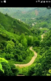 طبیعت گردی