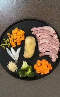 غذای تازه خانگی و فریزری گربه