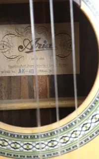 گیتار اریا ۱۹۶۶ المان