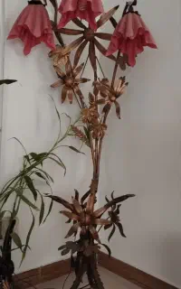 چراغ خواب
