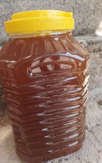 عسل کنار
