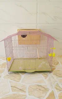 دو عدد قفس عروس هلندی بالونه