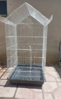 قفس عروس هلندی