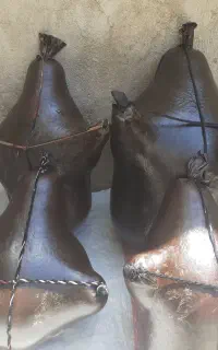 هیزه گوسفندی