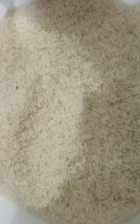 برنج طارم هاشمی