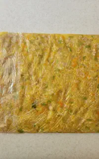 غذا خانگی گربه