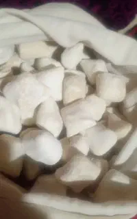 کشک بز