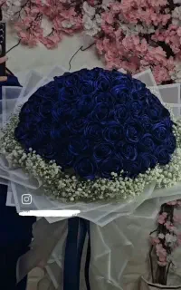 گل ربانی