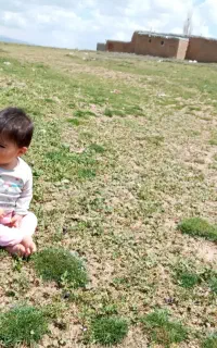 شخم زنی چیزل ولیورکشی برای کشاورزان
