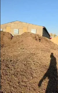 کود مرغ