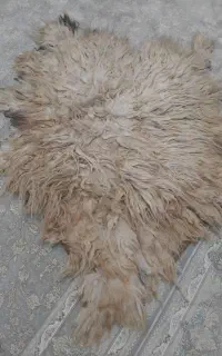 مناسب دیزاین خونه