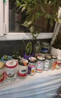 شیشه ترشی و مربا