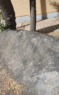 ماسه رایگان