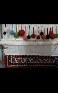 فروش دار قالی چله کشی شده و مایه قالی شسته شده