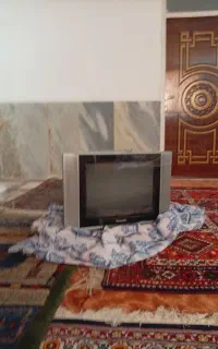 تلویزیون