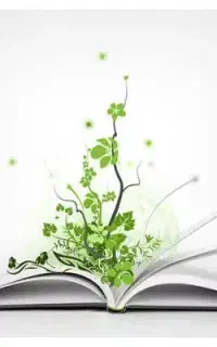 راهنمای