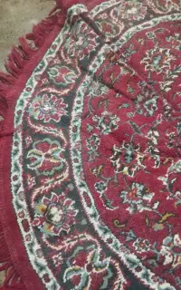 قالیشویی. فجر