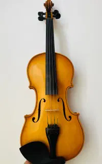 ویولن دست ساز حرفه ای