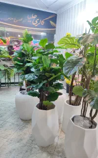 بزرگترین مرکز تخصصی درختچه و گل مصنوعی خراسان