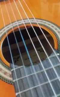 گیتار در حد نو