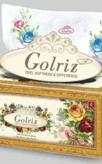 نیسان به همراه راننده