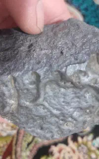 مشکوک به شهاب سنگ