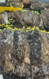 فروش مو خریدار اصلی