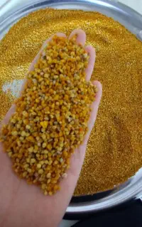 اکسیر جوانی (گرده گل کوهستان)