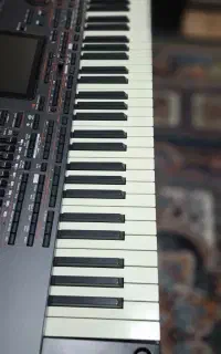 korg pa4 oriental