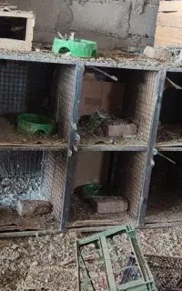 باسلام تور بند ویک عدد جفت کن 8جفتی