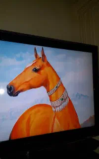 اسب
