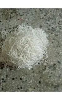 تور عروسک