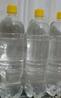 عرق نعنا