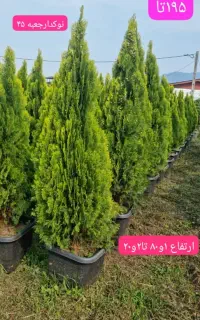 استخدام مسئول فروش و پیگیری کار