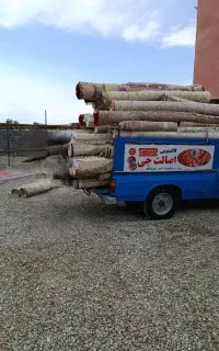 قالیشویی و مبلشویی اصالت جی(سرویس رایگان)