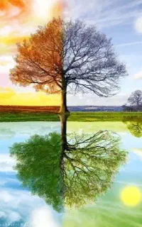 شاگرد سبزی فروشی