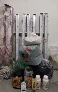 لامپ رشد گیاه سوپر ای جی ال ۱۰۰۰