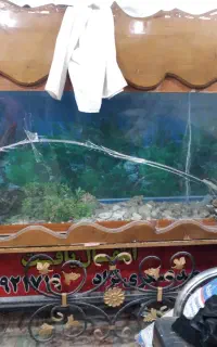 اکواریوم و وسایل اکواریوم