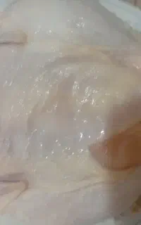 قطعه بندی مرغ