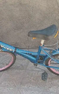 چرخ دسته دو