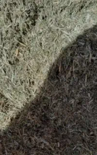 کاه یونجه
