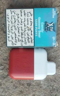 پاد ۴۵۰۰پاف