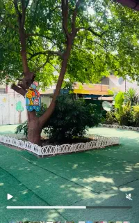 جذب نیرو در کودکستان