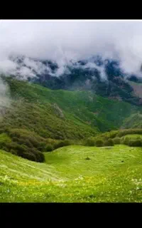 طور طبیعت گردی