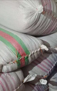 شالی طارم