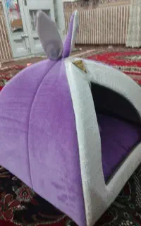 جای خواب گربه