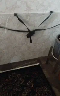 محافظ صفحه تلویزیون ۵۵