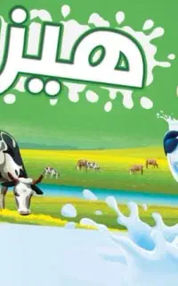 بازاریاب بومی بم